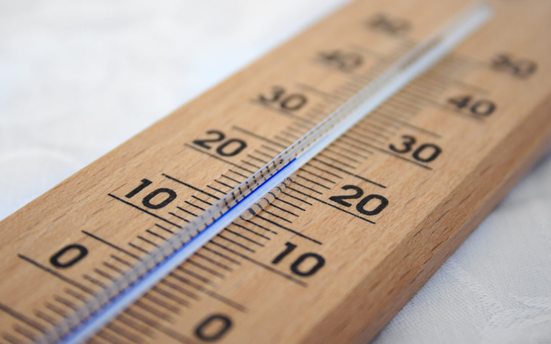 Be the Thermostat (not the Thermometer) in Your Business