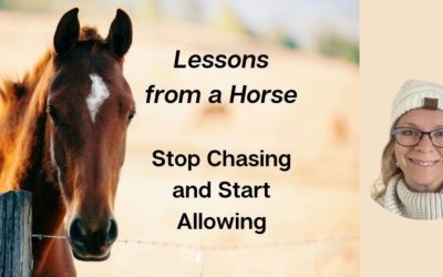 Lessons from a Horse:  Stop Chasing and Start Allowing